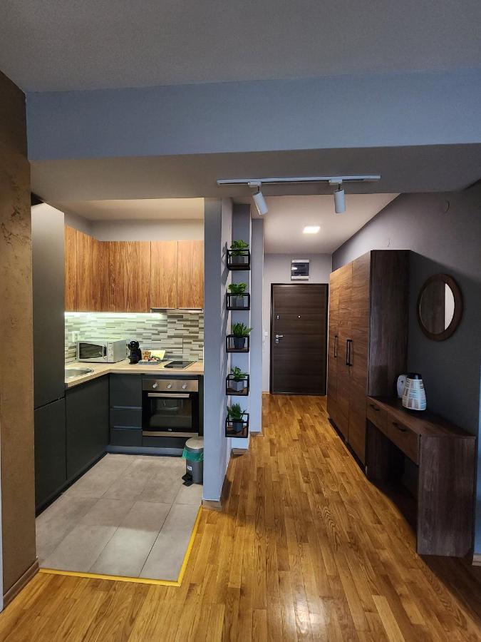 Marand Apartment スコピエ エクステリア 写真